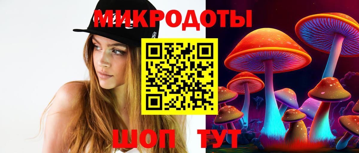 Михайловка  Галлюциногенные грибы Psilocybine cubensis  где можно купить   Вход с VPN 