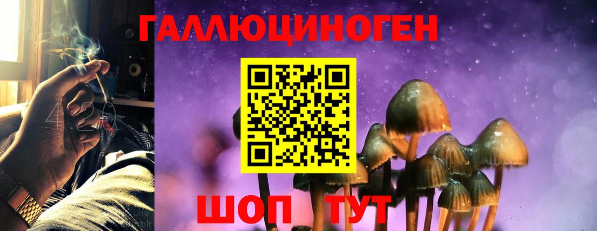Псилоцибиновые грибы MAGIC MUSHROOMS Михайловка